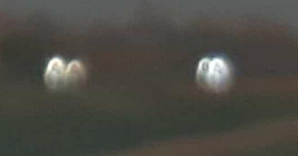 5f22f41b3ddee_600_315!