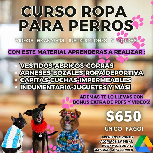 349650247_23854902880300458_631629354447598951_n