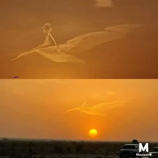 328776185_865889591308977_728097792132250168_n