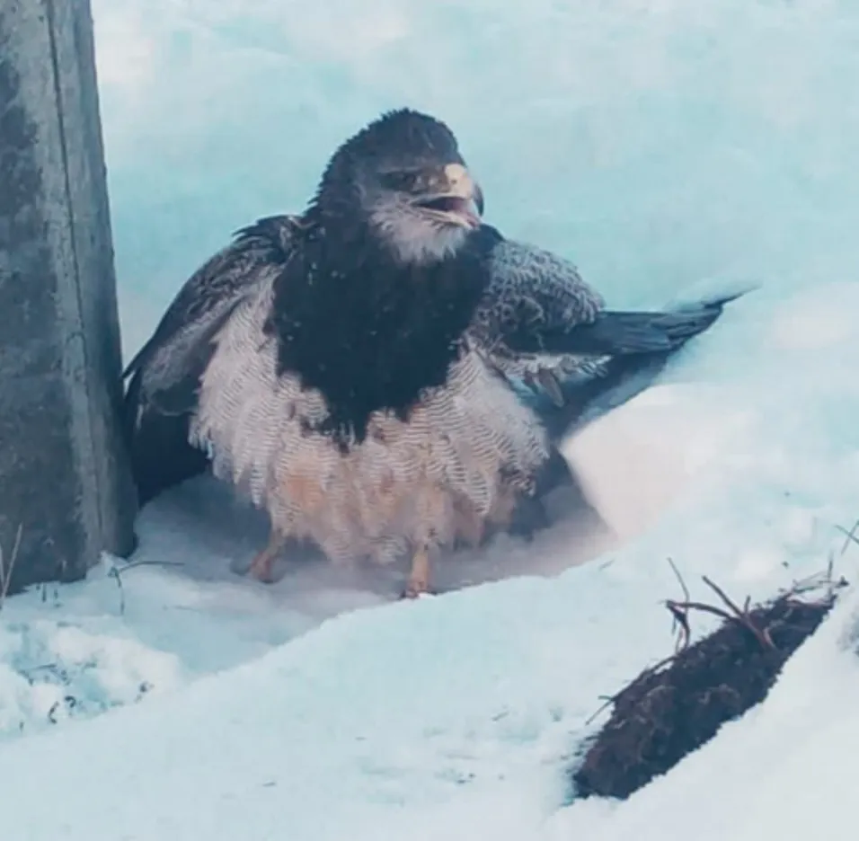 Screenshot_20230725_222145_Samsung-Internet-1