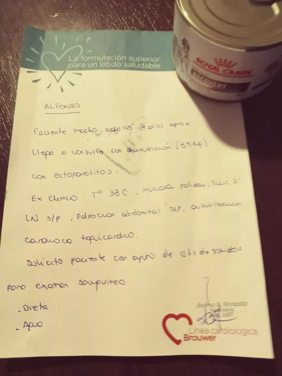 318786026_474728441450148_2667325691326120292_n