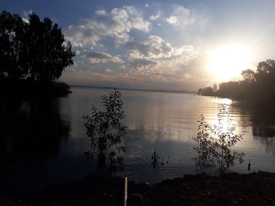 115768657_10216484980105520_1011841900808307684_n