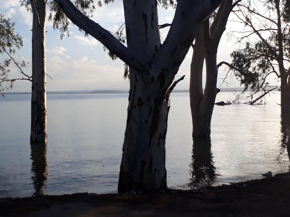 112414042_10216484981905565_3909072130153098291_n