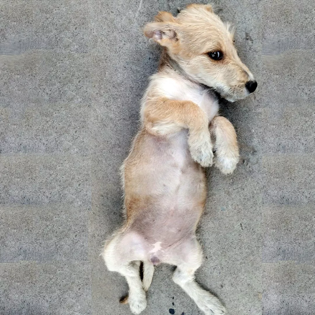 323415102_1138547206862498_8629529451009444675_n