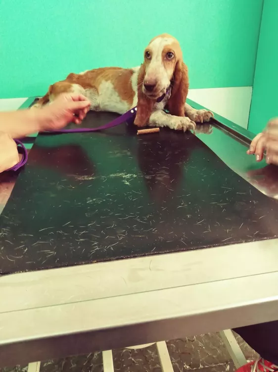 319156676_3285857545076298_7118048237768637712_n