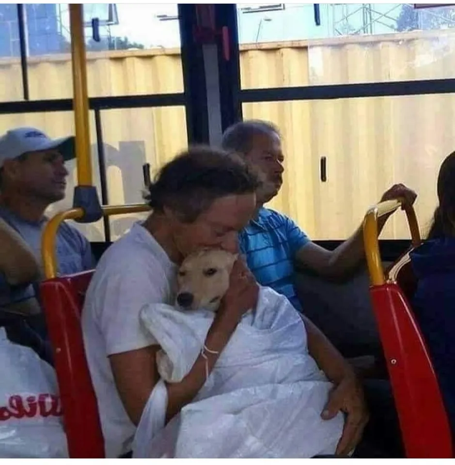 346610753_764069378759522_1717643522310179751_n