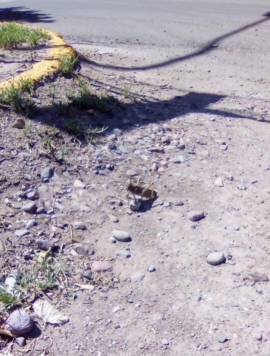 138794053_774920973102189_8471050987822937620_n