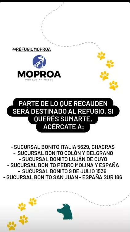 318741814_480470187490815_6443692493146933239_n