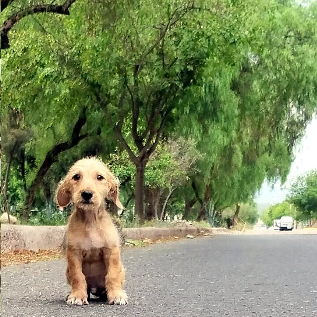 321440261_1867244703615402_370049778138878240_n