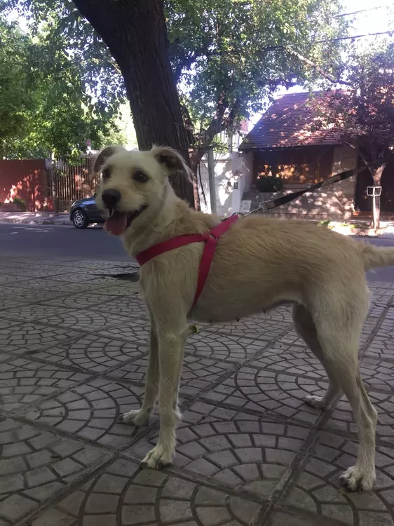 324578542_1483184482174095_950564474965816581_n