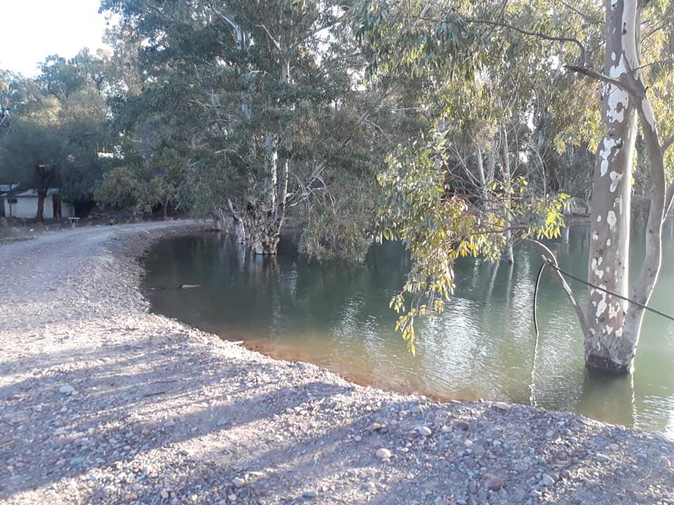 115806383_10216484982905590_639622250565063556_n