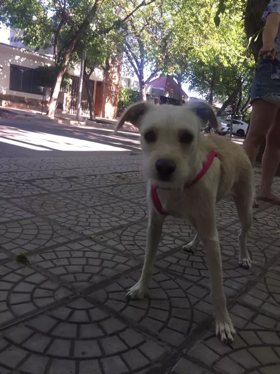 324350345_723977092612393_3329368587888521072_n