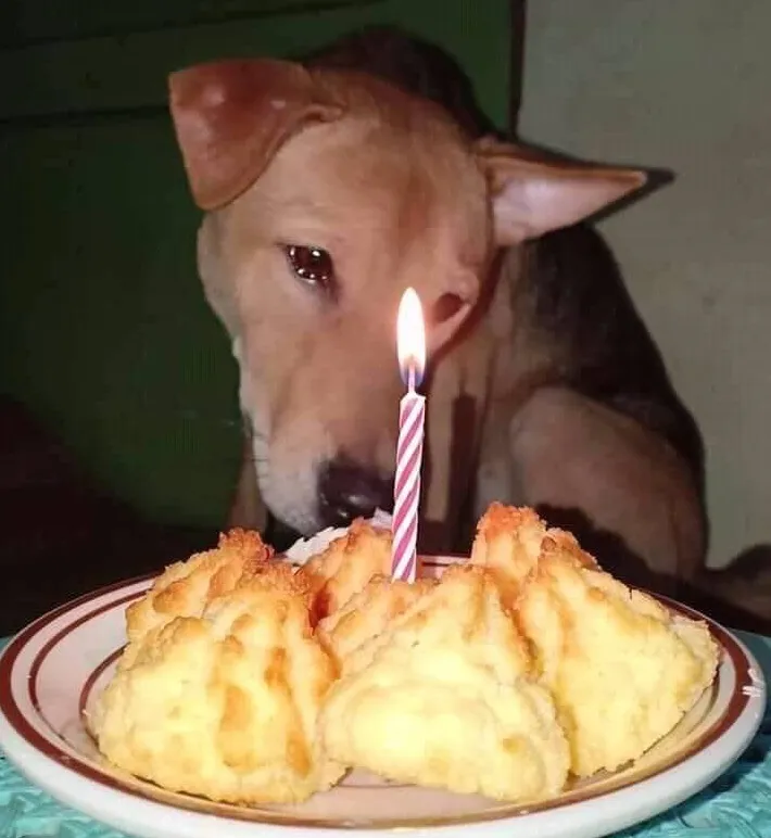 240393422_2607527082888815_7951499129072928737_n-1