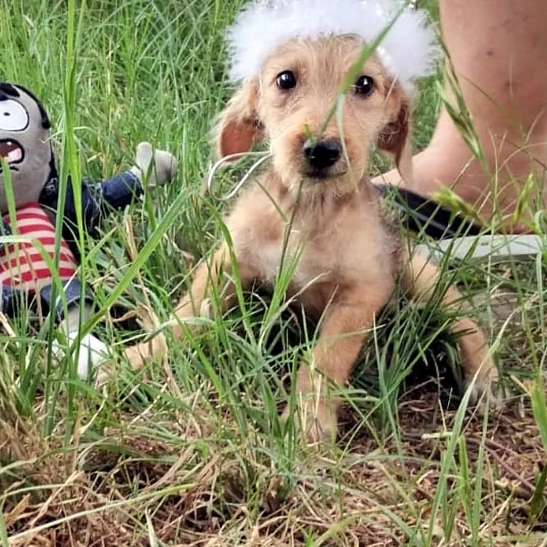 322197322_847257193286611_7853010608319317539_n