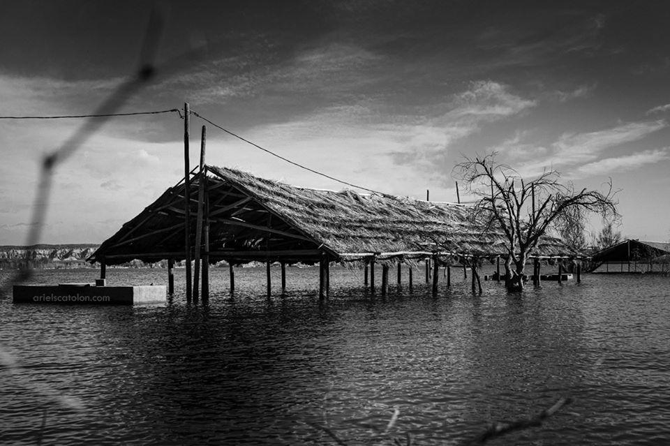 110308770_10224192129253142_3411469445450509802_o