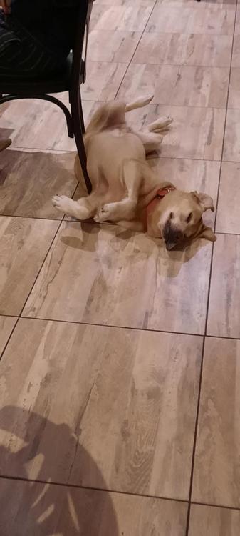 178201275_1254238814992880_9171392764504523958_n