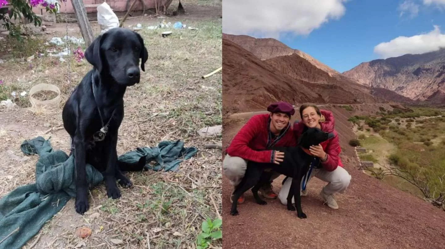 rocco salta alemania pareja