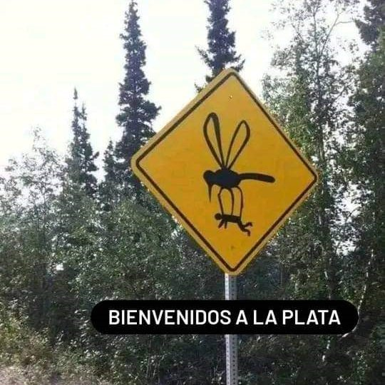 804552-mame-20mosquitos-20-284-29