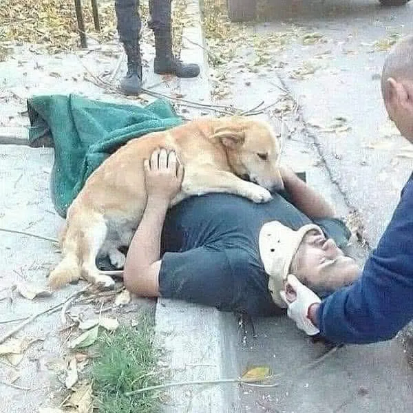 508899698_1234793368271973_5026331681877649938_n