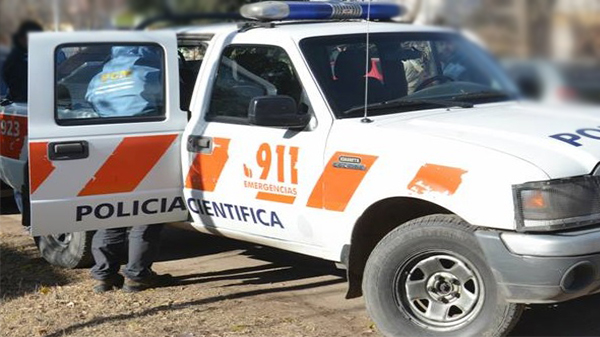 científica-poli