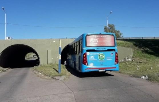 colectivo2