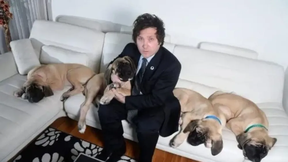 Diseño sin título (2)