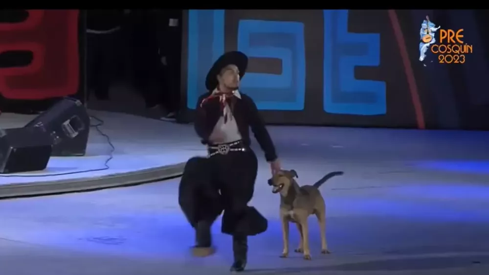 Añadir un título (2)