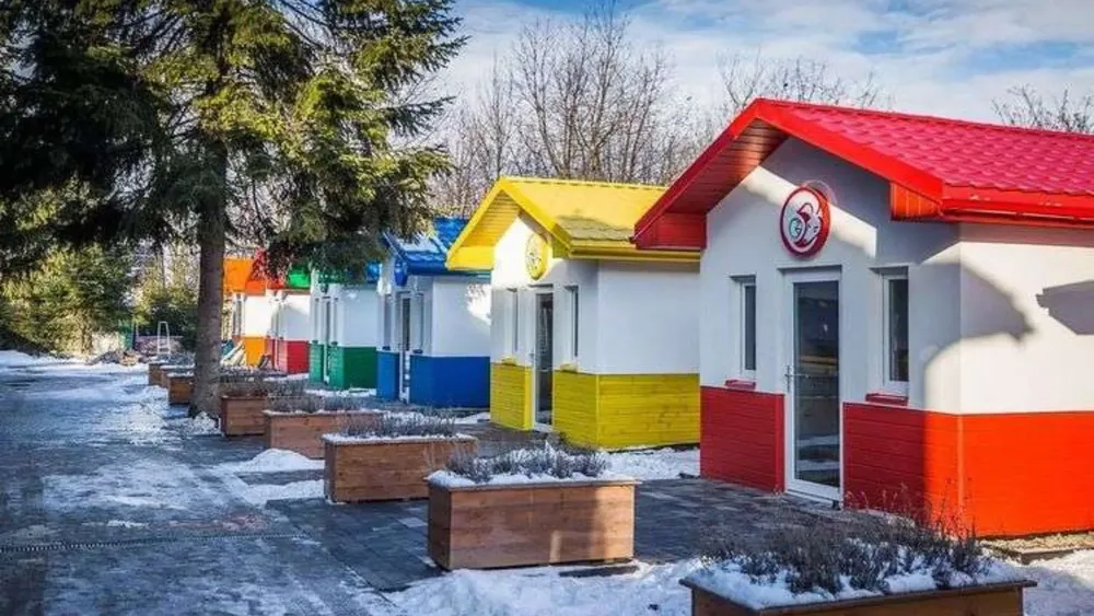 Casas de lujo para perritos de la calle