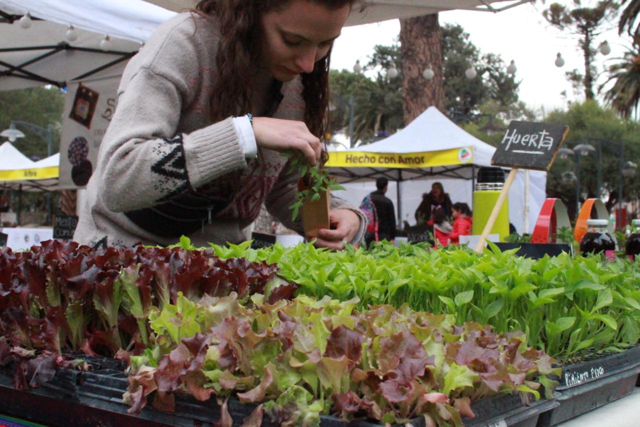 Feria Orgánica Luján Natural