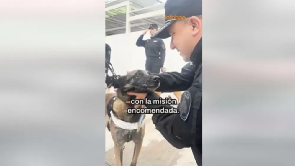 Video de despedida Kiara, una heroína de cuatro patas, se retira tras 7 años de servicio