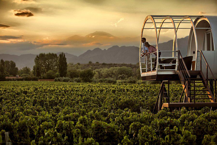 entre-cielos-luxury-wine