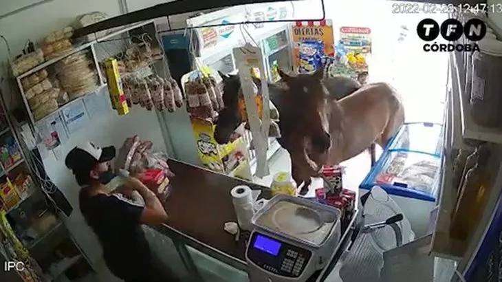 caballojpg