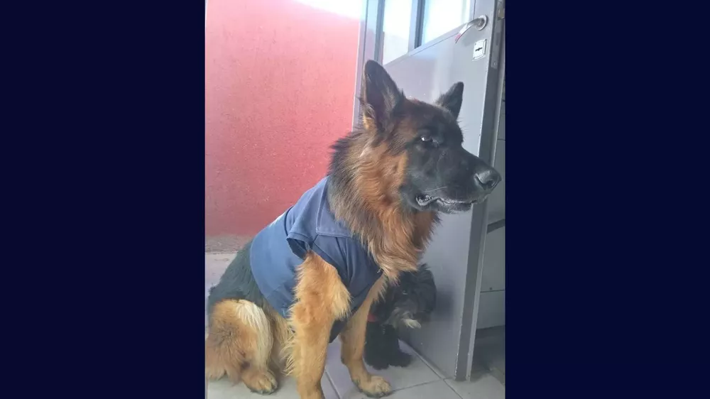 Añadir un título