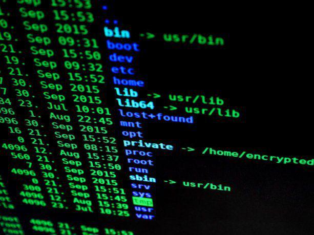 la-victima-es-redirigida-una-pagina-externa-donde-se-le-pide-que-descargue-un-archivo