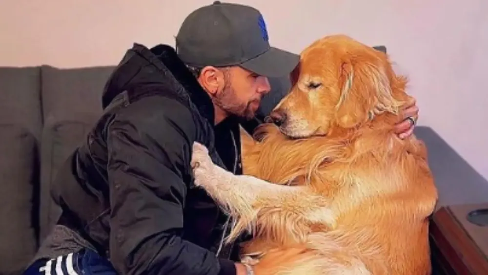 Perro muere por un error de una aerolínea