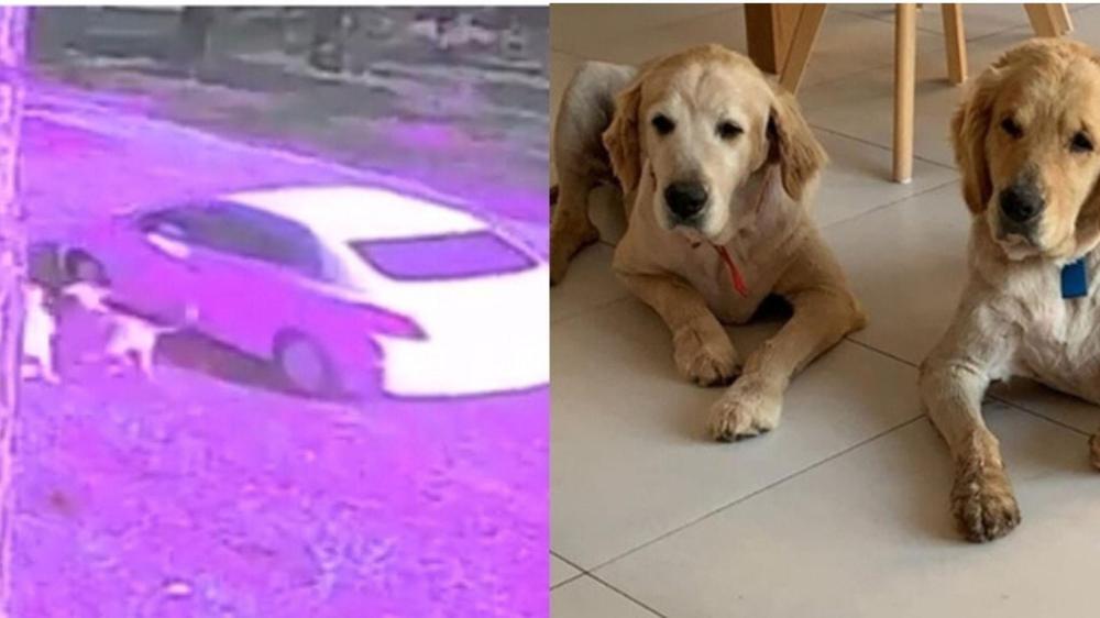 Diseño sin título