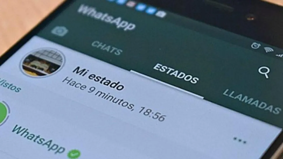 whatsapp_2_crop1625142179275.jpg_1734428432
