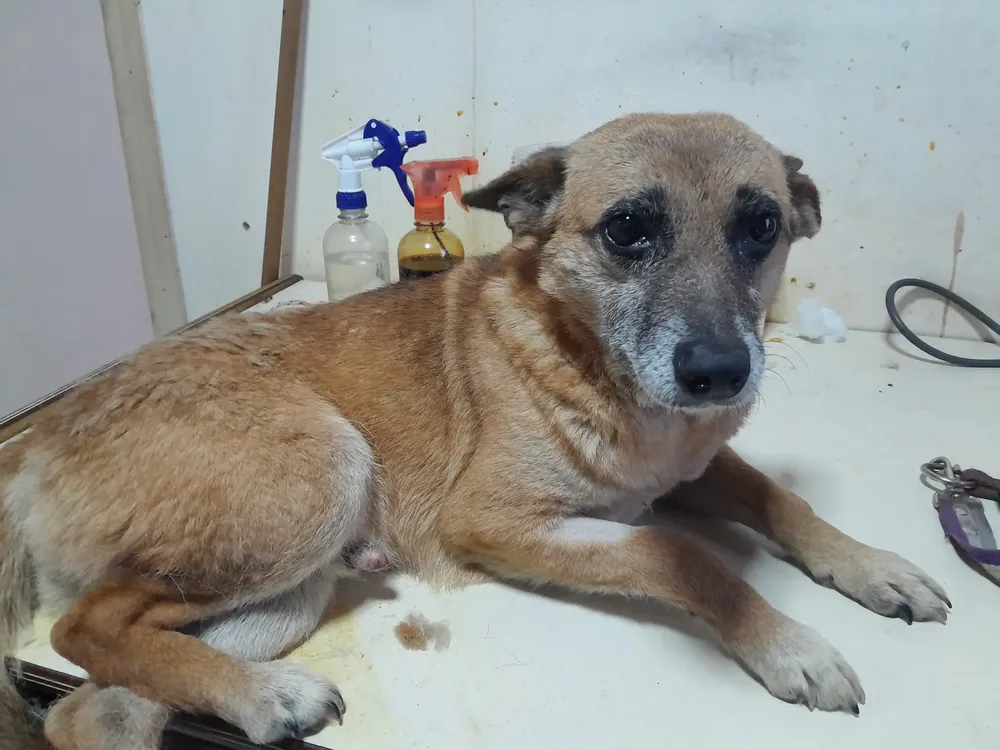 548214222_25273947728873527_4830141764061491689_n