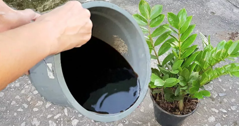 preparar-agua-vitaminada-05
