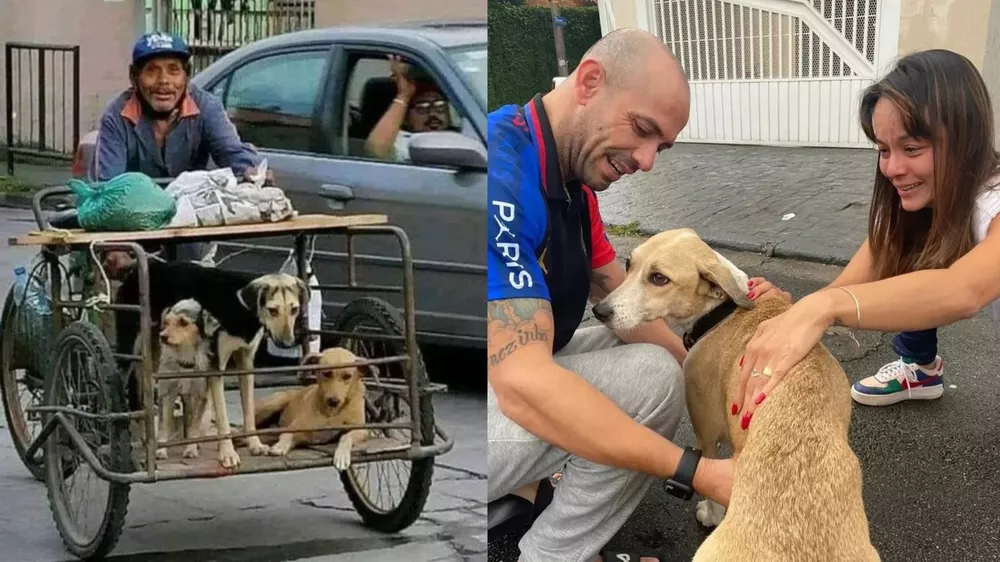 Añadir un título