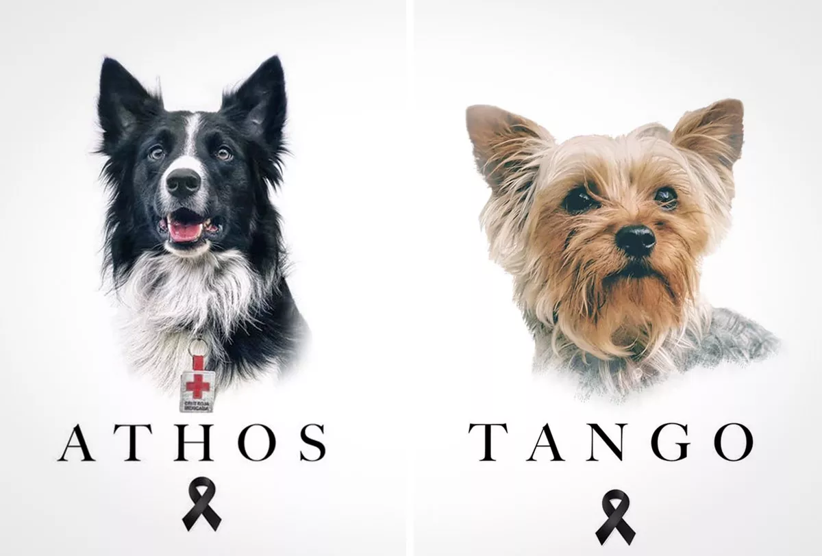 perros-athos-tango