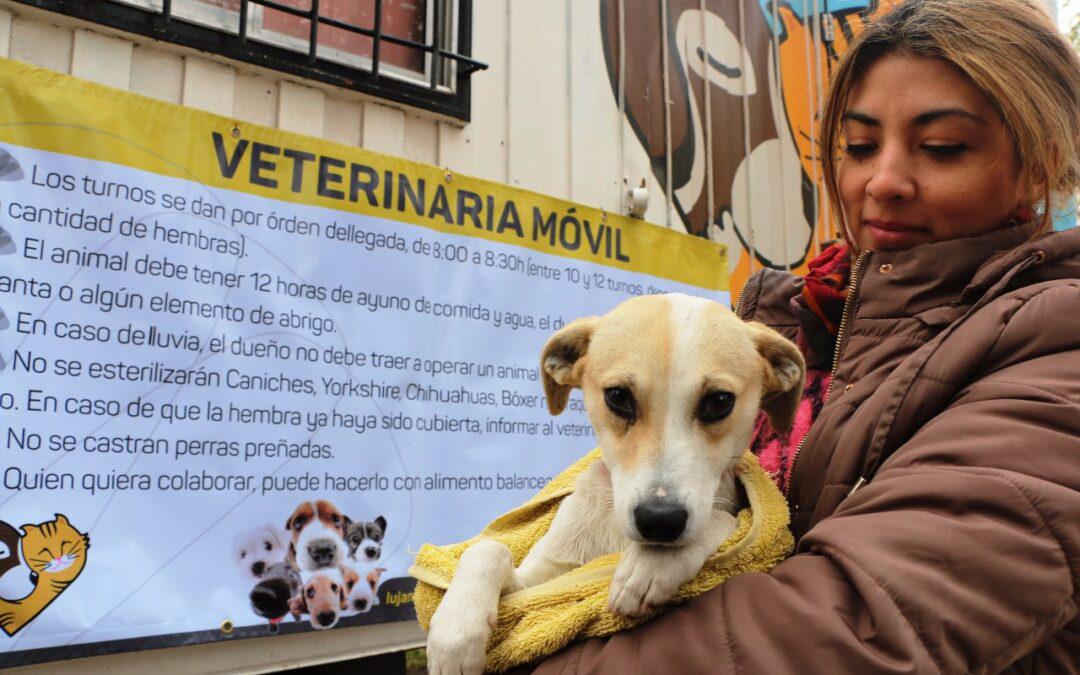 Vacunacion-antirrabica-1080x675