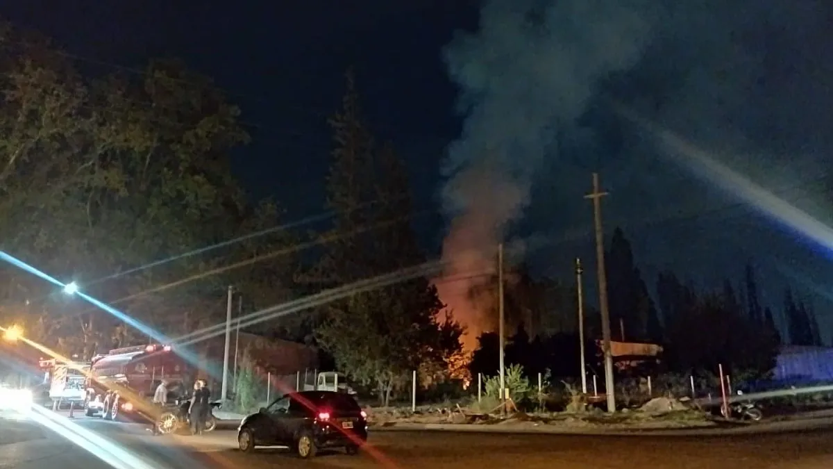 incendio-mendoza-aserradero-lujan-2jpg