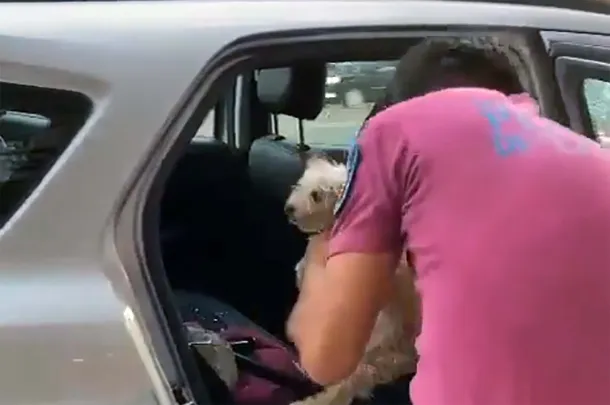 policia-rescata-perritojpg