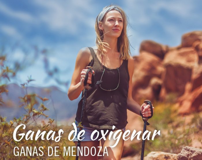 Avisos_Turismo-4-700x556