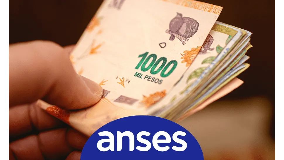 anses_plata_6.png_966076397