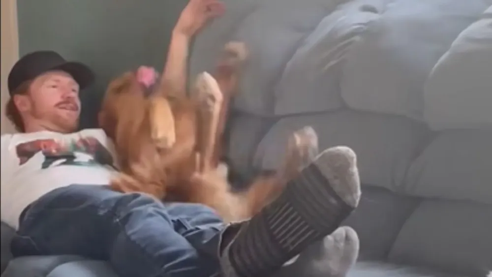 PERRITO 2