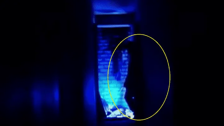 fantasmas_de_la_familia_alvarado_1_crop1671296140142.png_1833193316