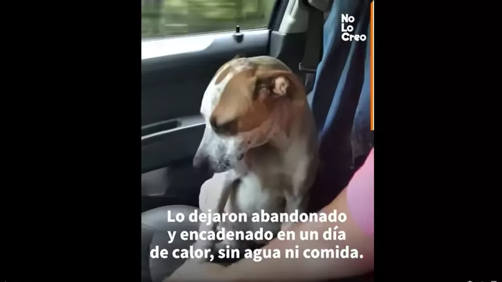 Diseño sin título (2)