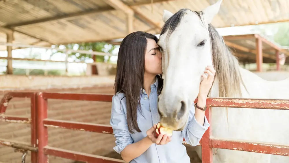 Beneficios equinoterapia